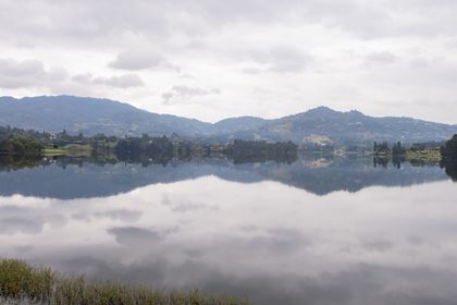Imagen de  Medellín y Cornare firman convenio por $2 000 millones para proteger las cuencas del Oriente 