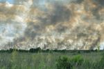 Imagen de Voraz incendio arrasa más de 2 000 hectáreas en los Everglades, el mayor ecosistema natural de Florida