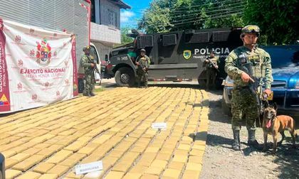 Ejército incauta más de una tonelada y media de marihuana
