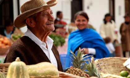 Imagen de  Procuraduría alertó sobre cumplimiento de la adjudicación de tierras previsto en el Acuerdo de Paz