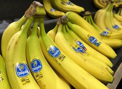 Imagen de Histórico: condenaron a directivos de multinacional Chiquita Brands por alianzas con paramilitares en el Urabá