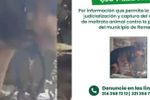 Imagen de A un refugio de Guarne fue llevada “Negra”, perrita atacada vilmente con machete en Remedios