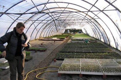Imagen de Bibliotecas de semillas: guardianas de la biodiversidad