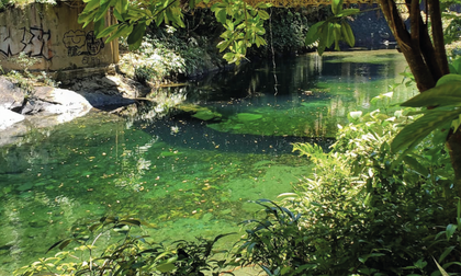 Imagen de Restringen temporalmente el ingreso al Cañón del Río Melcocho