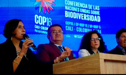 Primera semana de la COP16 en Cali, haciendo historia por la biodiversidad