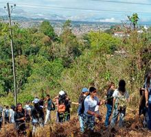 Siembran mil árboles en emblemático cerro de Popayán