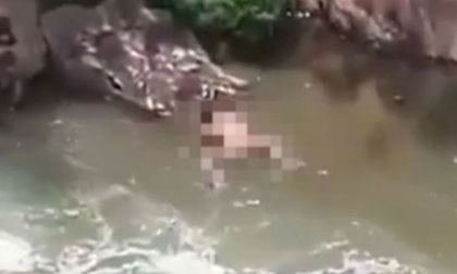 Pareja es captada teniendo relaciones en el río de Cali