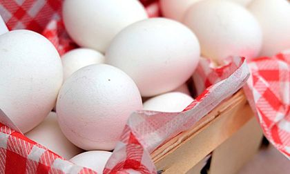 Colombia cerró 2025 con una producción superior a 19.400 millones de huevos