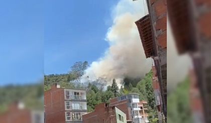 Imagen de Autoridades atienden incendio forestal cerca del cementerio de El Peñol