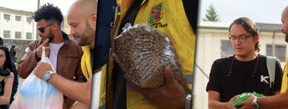 Imagen de  Masiva asistencia, Viboral Rock recolectó más de 3.000 kilos de cuido para perros y gatos