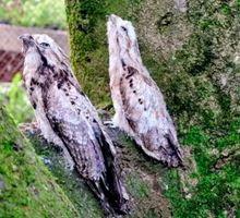 ¿Busca qué hacer en Cali en Semana Santa? Estos lugares permiten conectar con la naturaleza