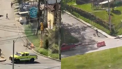 Imagen de Personas, animales y el tráfico, afectados por incidente con abejas en Rionegro