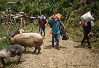 Imagen de  Procuraduría instó al Gobierno a atender a los cerca de 2 500 desplazados tras crisis humanitaria en el Norte de Antioquia
