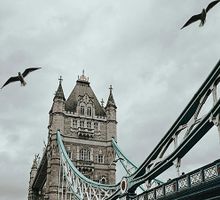 Efectos de la contaminación atmosférica durante el embarazo