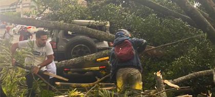 Imagen de  Tormenta eléctrica en Medellín provocó caída de árbol sobre vehículo en la vía Las Palmas