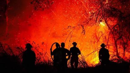 Imagen de ¡Misión cumplida! Bomberos de Rionegro regresan tras combatir los graves incendios en Tolima