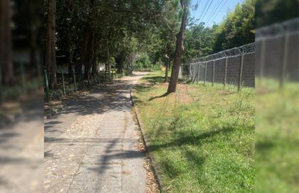 Imagen de Mujer fue acosada en zona rural de Marinilla; por fortuna su perro ayudó a ahuyentar al responsable