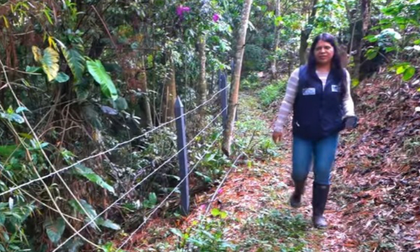 CRC y Corpofuturo protegen bosque nativo