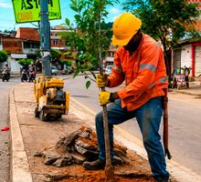 ¿Quiere sembrar un árbol frente a su casa? Así puede postular un andén ante la CVC para reducir el calor en Cali