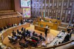Imagen de Asamblea de Antioquia crea comisión por hipopótamos; Cornare descarta la eutanasia como única solución