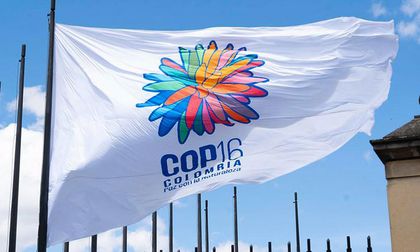 La Alcaldía de Cali considera declarar día cívico el 29 de octubre, por llegada de presidentes a la COP