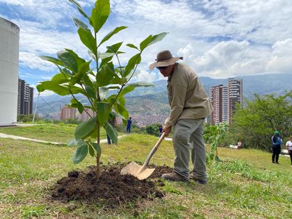 Imagen de Pacientes del Hospital Mental de Antioquia lideraron jornada de siembra de árboles