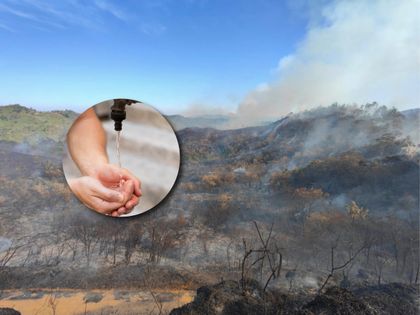 Imagen de  Fenómeno de El Niño: Antioquia ha registrado 246 incendios y 11 municipios tienen escasez de agua