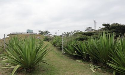 Cristo Rey fortalece su defensa ante incendios con líneas cortafuegos