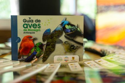 Imagen de  Rionegro tiene ya una guía con más de 160 especies de aves para fortalecer la educación y el turismo ambiental
