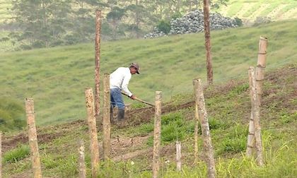 Investigan amenazas a campesinos del Valle