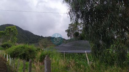 Imagen de En Sonsón fueron encontrados dos cuerpos sin vida