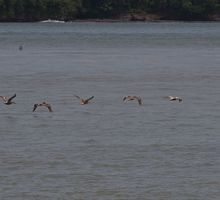 Confirman nuevo bombardeo a presunta narcolancha en el Pacifico