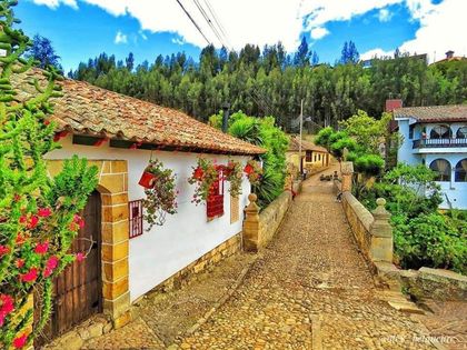 Imagen de  Un departamento de Colombia, entre los tres destinos más acogedores del mundo