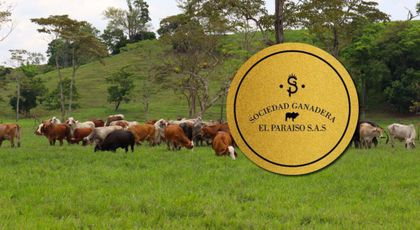 Aprobaron desmonte de la Sociedad Ganadera El Paraíso para devolver los dineros a los afectados
