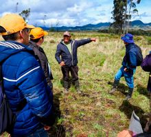 Control a actividades agropecuarias en páramos del Cauca