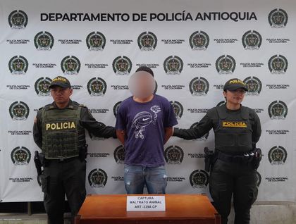 Imagen de Quedó en libertad sujeto que mató a perrita en El Carmen de Viboral: ciudadanos harán plantón