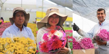 Imagen de  Flores El Trigal: 25 años cultivando empleo y desarrollo para el Oriente Antioqueño