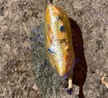 Capturan a un hombre con explosivo artesanal en el oriente de Cali