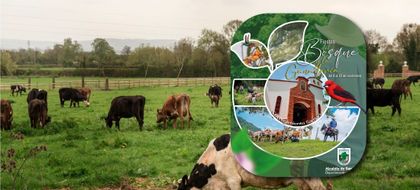 Imagen de  Este fin de semana el corregimiento de Samaná celebrará las Fiestas del Bosque y la Ganadería. Esta es la programación