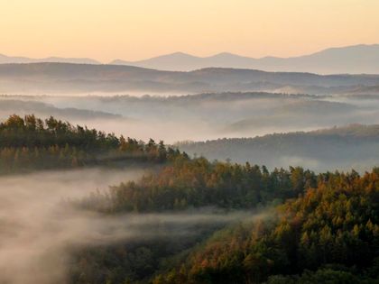 Imagen de  Más de 1500 millones de hectáreas de bosque están degradadas, según un informe de la FAO