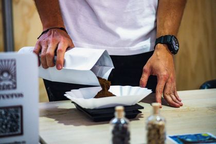 Imagen de  Para que disfrute en familia: este fin de semana es el Caféstival en Llanogrande