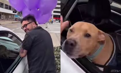 Creador de contenido compartió detalle que tuvo con su perro que superó el cáncer