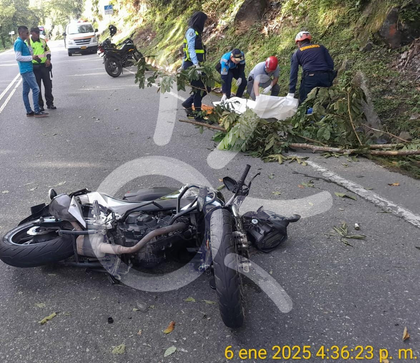 Imagen de  Rama de un árbol cayó sobre motociclista y le causó la muerte en la Autopista Medellín-Bogotá