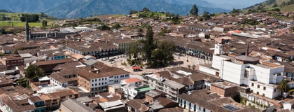 Imagen de  Denuncian envenenamiento masivo de perros en Sonsón