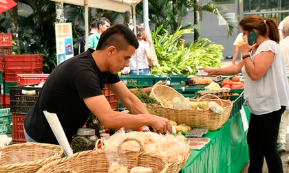 La Plaza de Cayzedo será escenario de una jornada cultural, deportiva y de mercado campesino