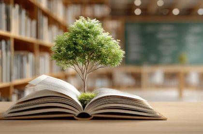 Imagen de Formación en sostenibilidad, el puente para cerrar la brecha de talento verde