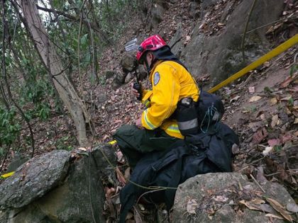Imagen de ¡Valientes! 30 bomberos especializados de Antioquia están en Tolima apoyando el control de los incendios