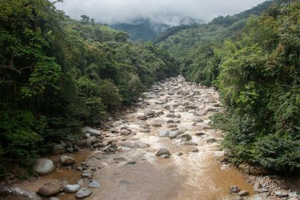 Imagen de  Estudio reveló cómo las hidroeléctricas afectan la restitución de tierras en Oriente