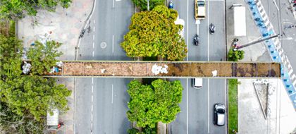 Imagen de Medellín recicla y transforma puentes peatonales en corredores de fauna silvestre