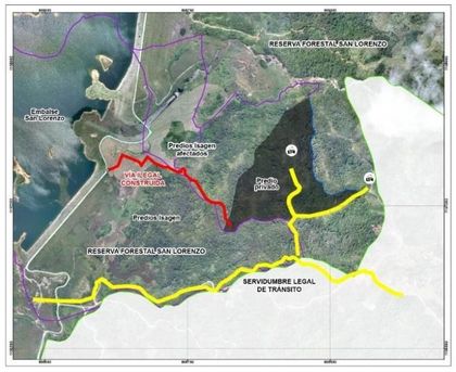 Imagen de ¿Qué está pasando en los predios cercanos al embalse de la Central Jaguas en San Rafael y Alejandría?